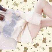 ヒメ日記 2025/06/05 07:50 投稿 あじさい チューリップ姫路店