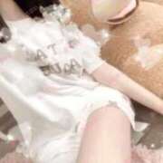 ヒメ日記 2025/09/09 06:10 投稿 あじさい チューリップ姫路店