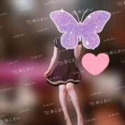 ヒメ日記 2025/09/30 07:20 投稿 あじさい チューリップ姫路店