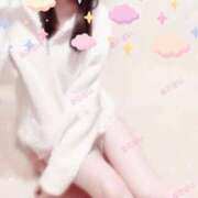 ヒメ日記 2025/10/08 08:50 投稿 あじさい チューリップ姫路店