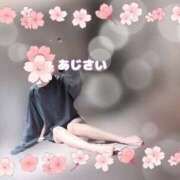 ヒメ日記 2025/11/03 06:20 投稿 あじさい チューリップ姫路店