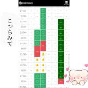 ヒメ日記 2025/04/22 20:49 投稿 りお シークレットサービス