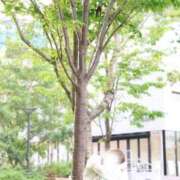 ヒメ日記 2026/07/03 22:39 投稿 七星　せな OLピンクコレクション