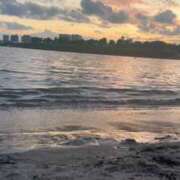 ヒメ日記 2025/09/30 11:49 投稿 ゆうり One More奥様　八王子店