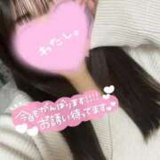 ヒメ日記 2025/01/06 12:27 投稿 るる ピーチハニー