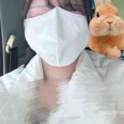 ヒメ日記 2025/03/27 18:54 投稿 ひなみ チューリップ福井本館