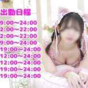 ヒメ日記 2025/05/02 18:04 投稿 ひなみ チューリップ福井本館