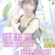 ヒメ日記 2025/08/01 19:04 投稿 ひなみ チューリップ福井本館