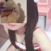 ヒメ日記 2024/12/24 19:34 投稿 ひなみ チューリップ福井別館