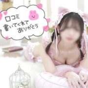 ヒメ日記 2025/09/27 14:24 投稿 ひなみ チューリップ福井別館