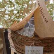 ヒメ日記 2025/04/24 12:21 投稿 かすみ 出会い系人妻ネットワーク 五反田～品川編