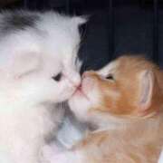 ヒメ日記 2025/09/28 15:33 投稿 かすみ 出会い系人妻ネットワーク 五反田～品川編