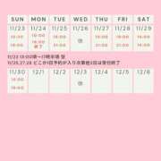 ヒメ日記 2025/11/23 08:23 投稿 かすみ 出会い系人妻ネットワーク 五反田～品川編