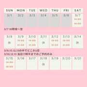 ヒメ日記 2026/03/06 21:31 投稿 かすみ 出会い系人妻ネットワーク 五反田～品川編