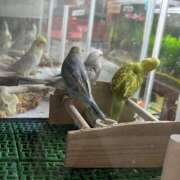 ヒメ日記 2026/03/22 11:05 投稿 かすみ 出会い系人妻ネットワーク 五反田～品川編