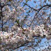 ヒメ日記 2026/04/10 12:02 投稿 レナ Club Hearts