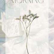 ヒメ日記 2024/12/13 07:18 投稿 ナギ ヴィーナス(金津園)