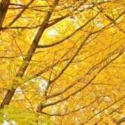 ヒメ日記 2024/12/22 23:13 投稿 みう ごほうびSPA五反田店