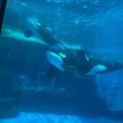 ヒメ日記 2025/07/26 21:50 投稿 みう ごほうびSPA五反田店