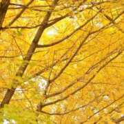 ヒメ日記 2025/09/30 20:50 投稿 みう ごほうびSPA五反田店