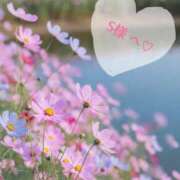 なのは ?ありがとうございます? 五反田人妻ヒットパレード（シンデレラグループ）