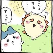 ヒメ日記 2025/12/31 12:22 投稿 ありす Charme（シャルム）