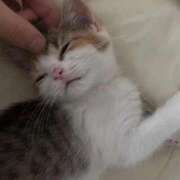 ヒメ日記 2026/02/17 23:32 投稿 ありす Charme（シャルム）