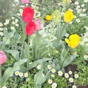 ヒメ日記 2026/04/25 11:02 投稿 ありす Charme（シャルム）