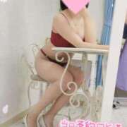 ヒメ日記 2025/02/21 04:45 投稿 すず 横浜コスプレデビュー（シンデレラグループ）