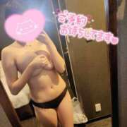 ヒメ日記 2025/05/03 02:09 投稿 すず 横浜コスプレデビュー（シンデレラグループ）