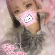 ヒメ日記 2025/05/04 11:59 投稿 すず 横浜コスプレデビュー（シンデレラグループ）