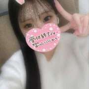 ヒメ日記 2025/05/19 07:02 投稿 すず 横浜コスプレデビュー（シンデレラグループ）