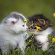 ヒメ日記 2024/12/12 10:32 投稿 森本 MadameRest(マダムレスト)