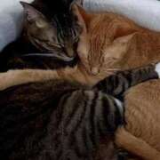 ヒメ日記 2024/12/14 07:33 投稿 森本 MadameRest(マダムレスト)