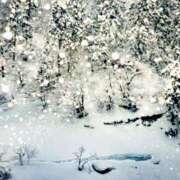 ヒメ日記 2024/12/15 16:15 投稿 森本 MadameRest(マダムレスト)