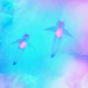 ヒメ日記 2024/12/16 07:52 投稿 森本 MadameRest(マダムレスト)