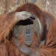 ヒメ日記 2024/12/16 15:36 投稿 森本 MadameRest(マダムレスト)