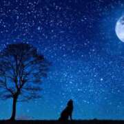 ヒメ日記 2024/12/23 01:15 投稿 森本 MadameRest(マダムレスト)