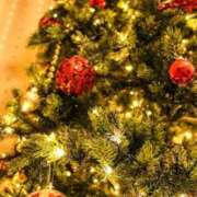 ヒメ日記 2024/12/24 07:24 投稿 森本 MadameRest(マダムレスト)