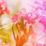 ヒメ日記 2024/12/29 07:31 投稿 森本 MadameRest(マダムレスト)