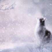 ヒメ日記 2024/12/30 23:52 投稿 森本 MadameRest(マダムレスト)