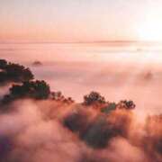 ヒメ日記 2025/01/08 07:24 投稿 森本 MadameRest(マダムレスト)