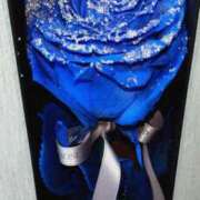 ヒメ日記 2025/01/11 15:32 投稿 森本 MadameRest(マダムレスト)