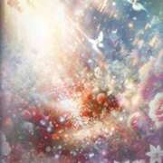 ヒメ日記 2025/01/12 08:24 投稿 森本 MadameRest(マダムレスト)