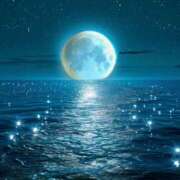 ヒメ日記 2025/01/14 07:15 投稿 森本 MadameRest(マダムレスト)