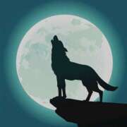 ヒメ日記 2025/01/14 17:32 投稿 森本 MadameRest(マダムレスト)