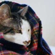 ヒメ日記 2025/01/18 07:31 投稿 森本 MadameRest(マダムレスト)