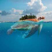 ヒメ日記 2025/01/23 14:24 投稿 森本 MadameRest(マダムレスト)