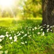 ヒメ日記 2025/01/30 07:32 投稿 森本 MadameRest(マダムレスト)