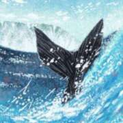 ヒメ日記 2025/01/30 13:15 投稿 森本 MadameRest(マダムレスト)